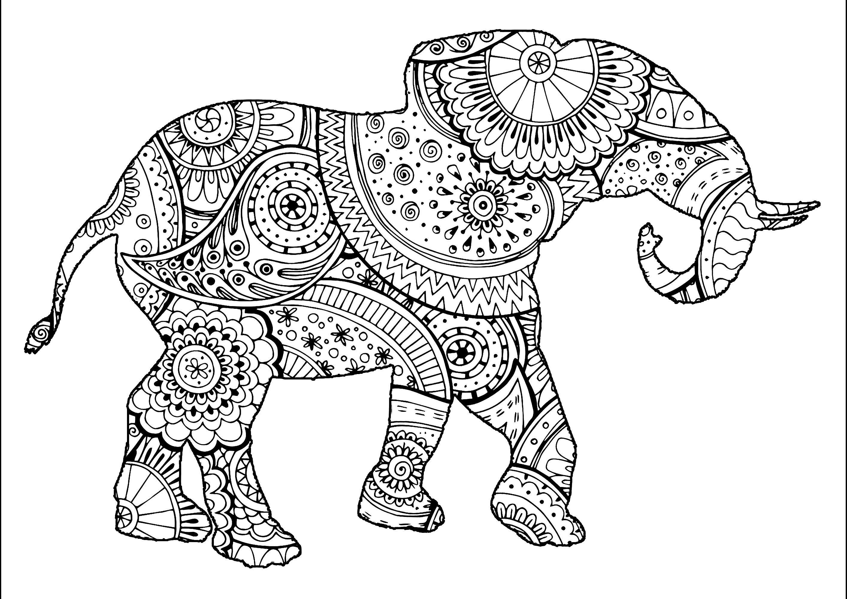 Tranh tô màu họa tiết hoa văn chú voi rất đẹp