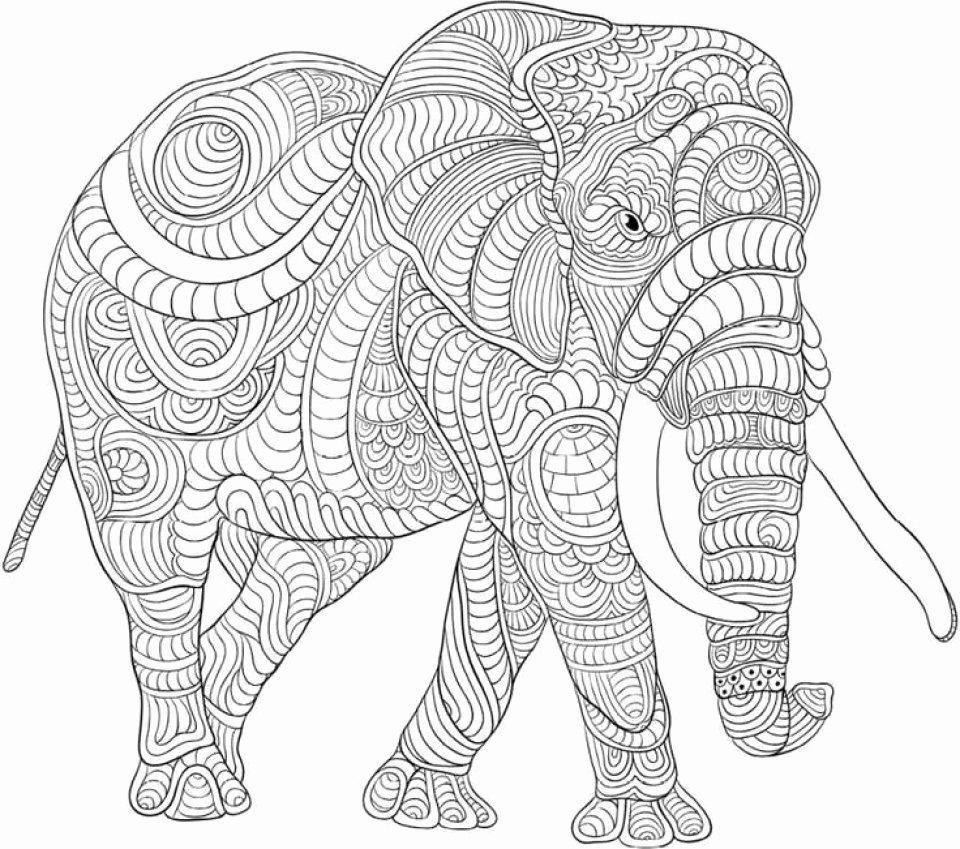 Tranh tô màu voi nhiều họa tiết phức tạp