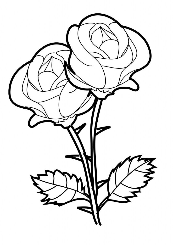 Tranh vẽ tô màu hoa hồng đơn giản cực đẹp
