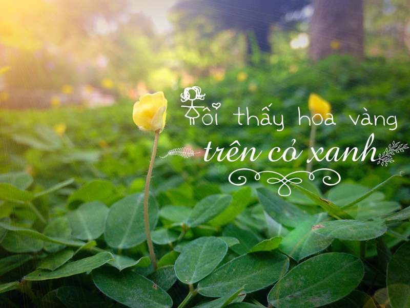 Tôi thấy hoa vàng trên cỏ xanh