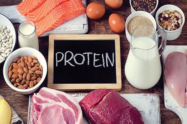 bổ sung nhiều protein