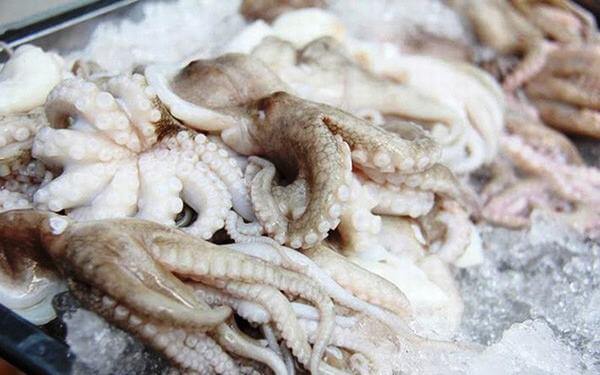 8 món ngon từ bạch tuộc dễ chế biến, bạch tuộc làm gì ngon nhất?