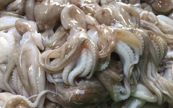 8 món ngon từ bạch tuộc dễ chế biến, bạch tuộc làm gì ngon nhất?