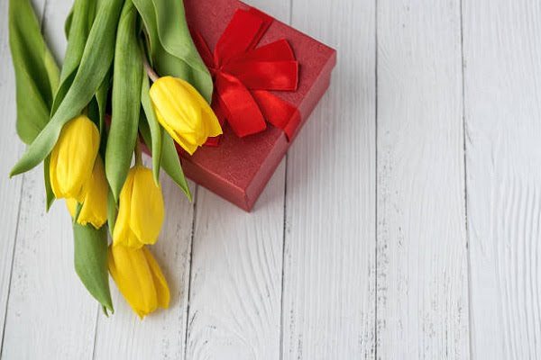 Hình Ảnh Hoa Tulip Đẹp 10