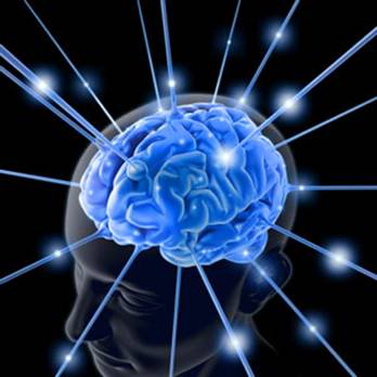 Tư duy sáng tạo- dạng hoạt động trí não cao nhất