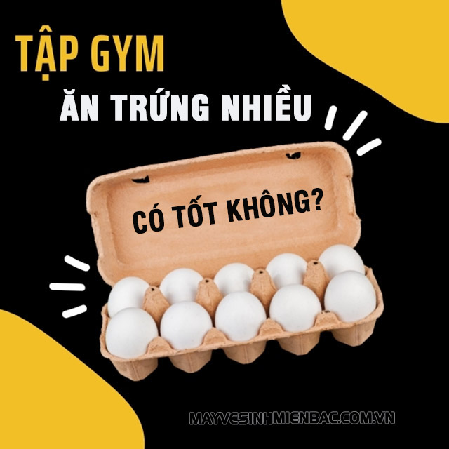 tập gym ăn trứng nhiều có tốt không